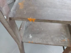 Chaise escabeau ancien