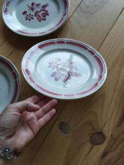 Charmant lot de 6 assiettes plates anciennes de la manufacture Badonviller.