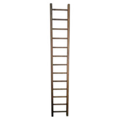 Échelle ancienne en bois
