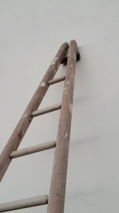 Échelle de maraîcher récolte fruitière en bois ancien -3m65