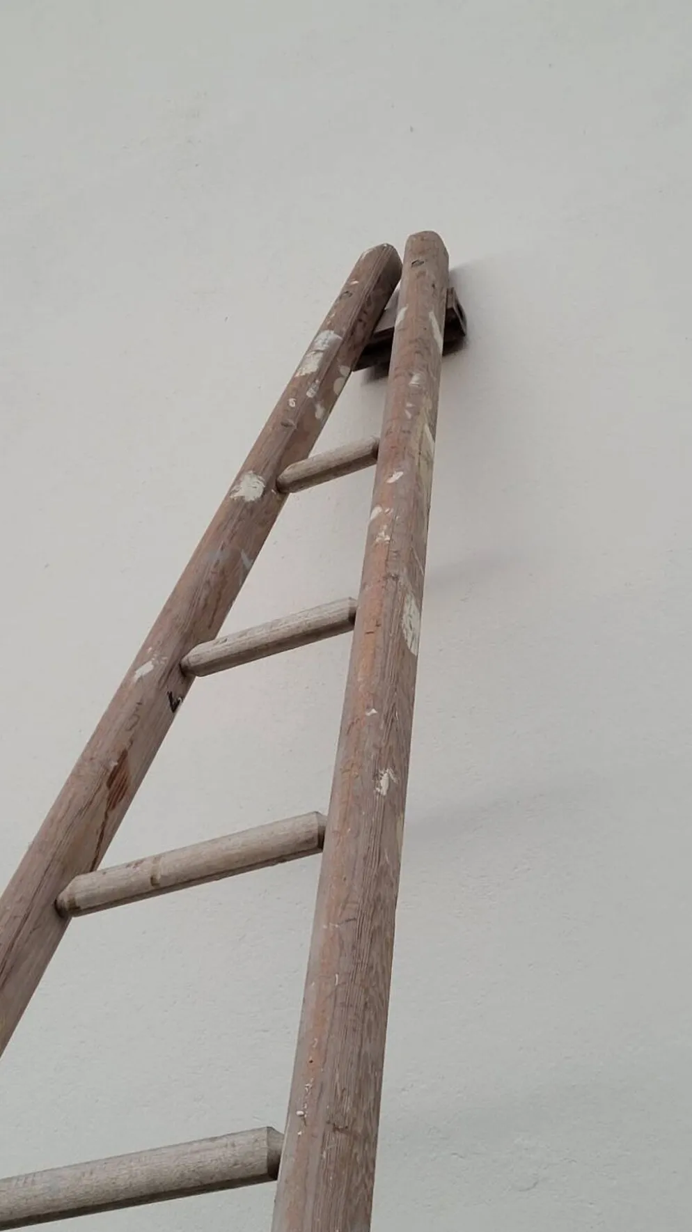 Échelle de maraîcher récolte fruitière en bois ancien -3m65
