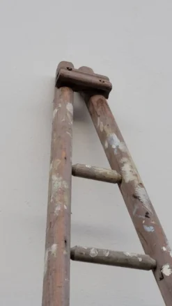 Échelle de maraîcher récolte fruitière en bois ancien -3m65