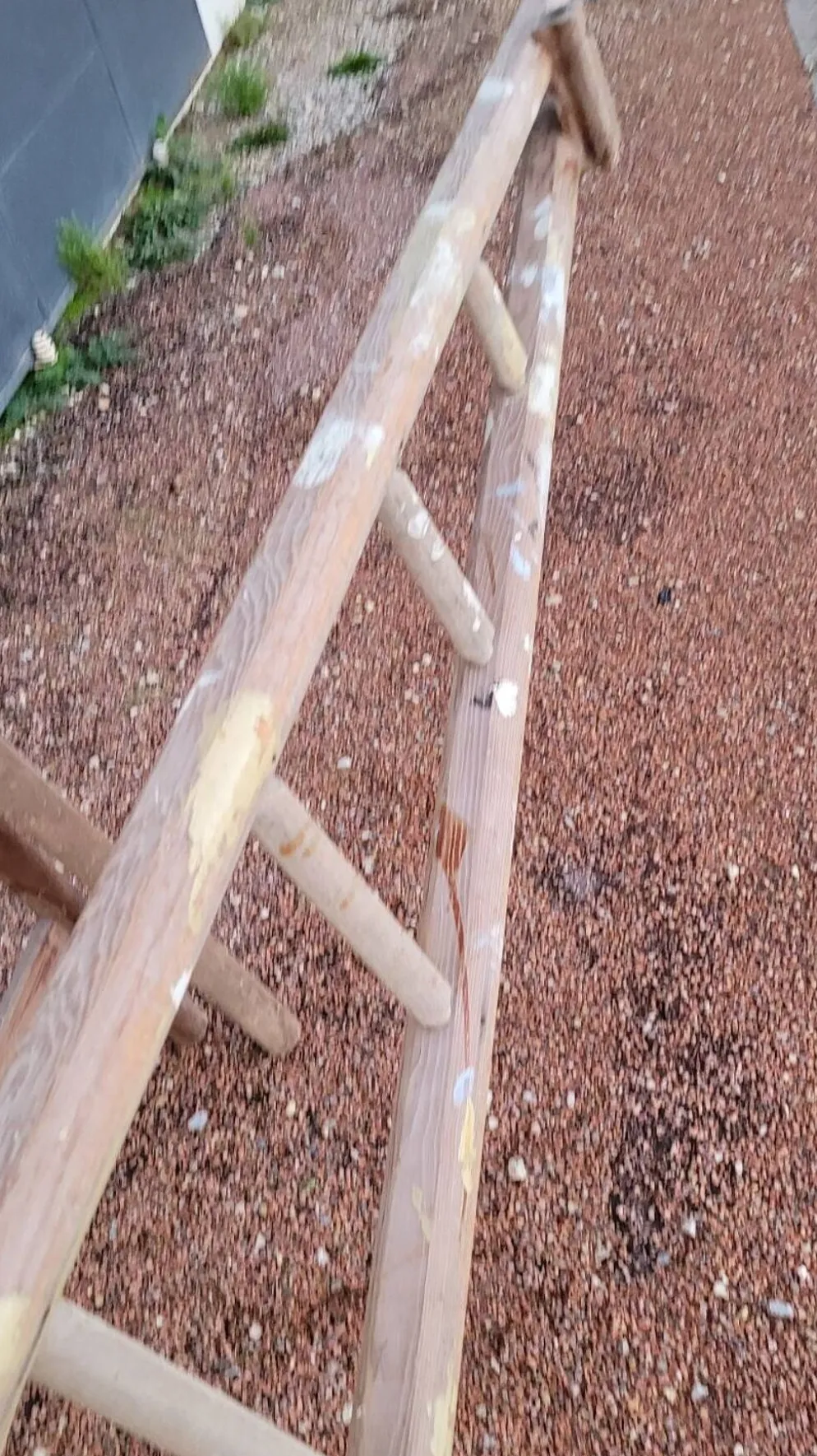 Échelle de maraîcher récolte fruitière en bois ancien -3m65
