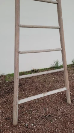 Échelle de maraîcher récolte fruitière en bois ancien -3m65