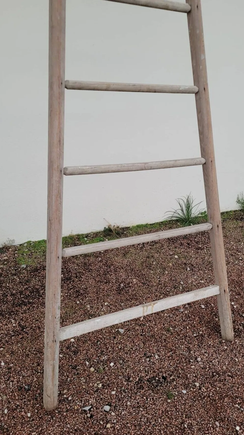 Échelle de maraîcher récolte fruitière en bois ancien -3m65