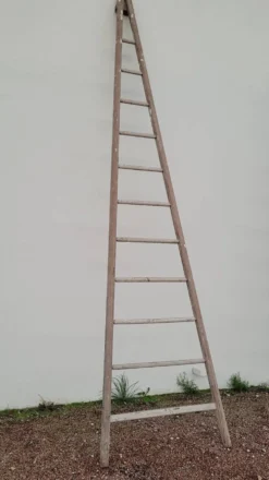 Échelle de maraîcher récolte fruitière en bois ancien -3m65