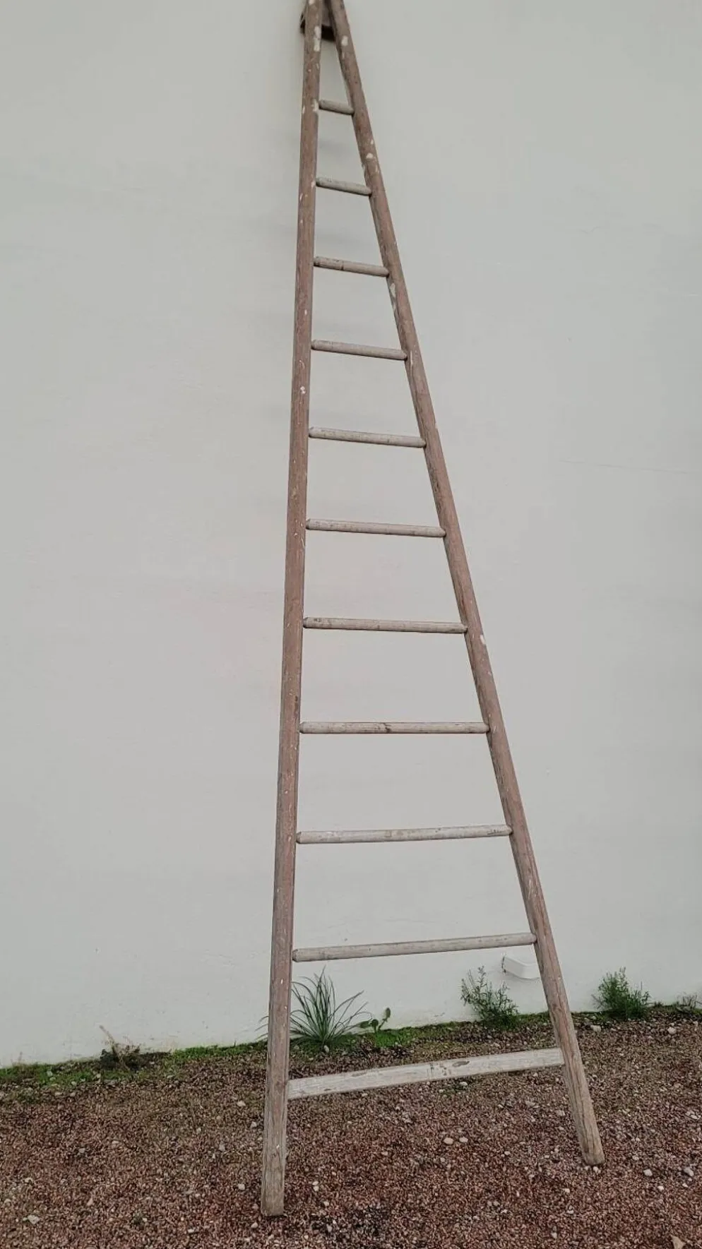Échelle de maraîcher récolte fruitière en bois ancien -3m65