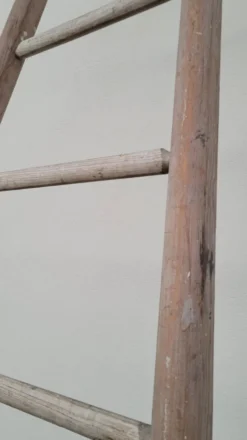 Échelle de maraîcher récolte fruitière en bois ancien -3m65