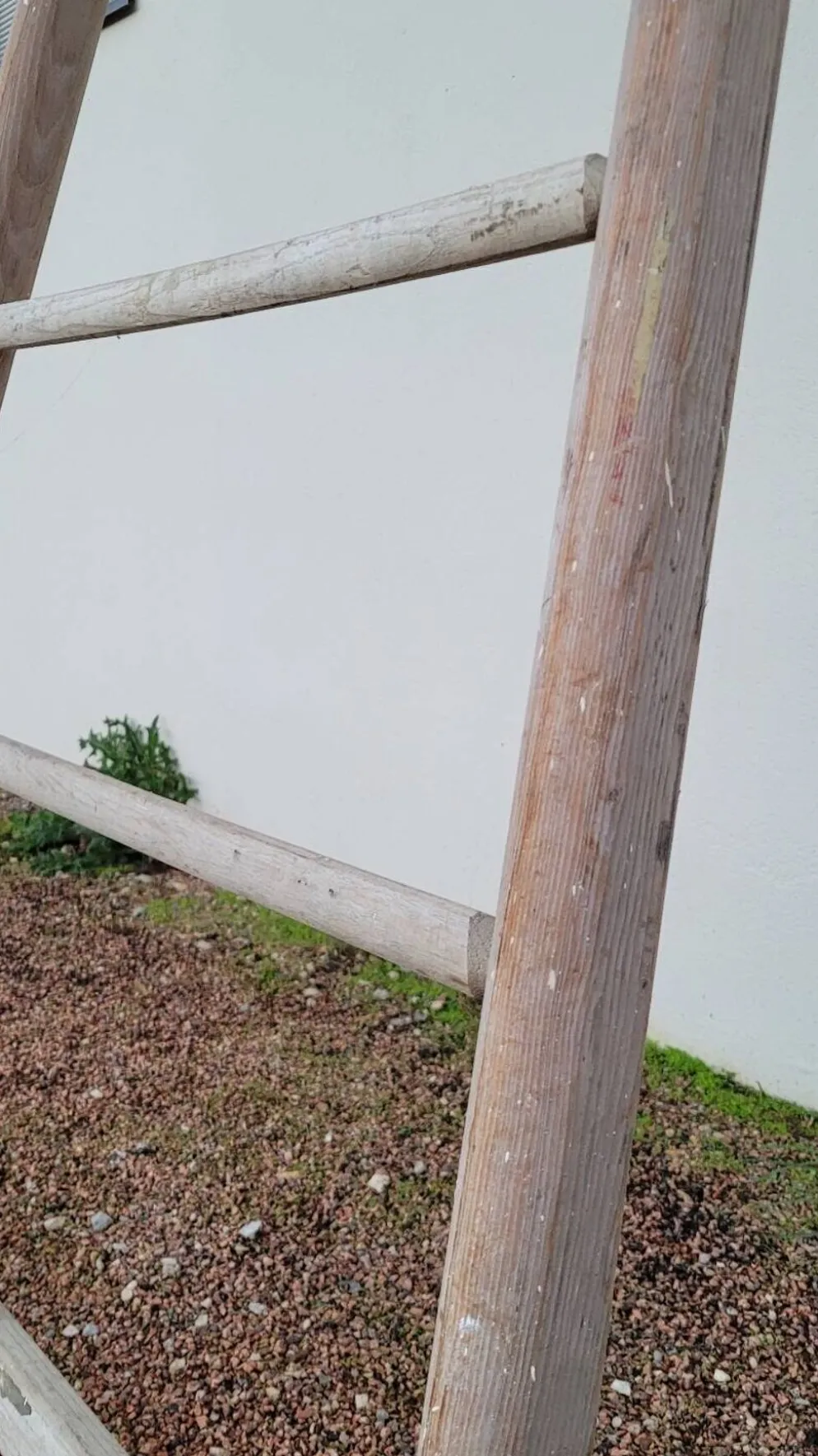 Échelle de maraîcher récolte fruitière en bois ancien -3m65