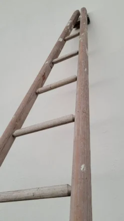 Échelle de maraîcher récolte fruitière en bois ancien -3m65