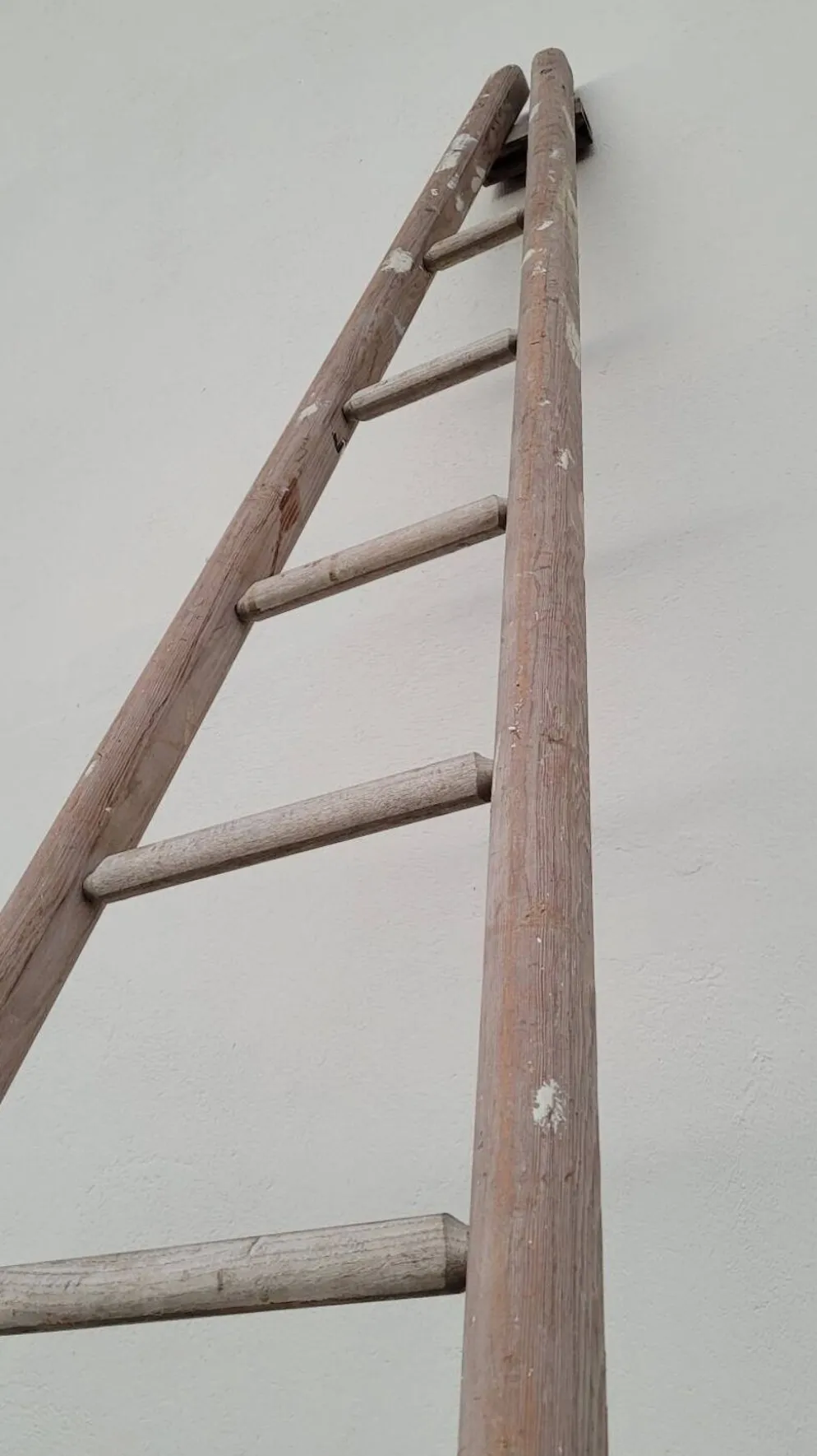 Échelle de maraîcher récolte fruitière en bois ancien -3m65