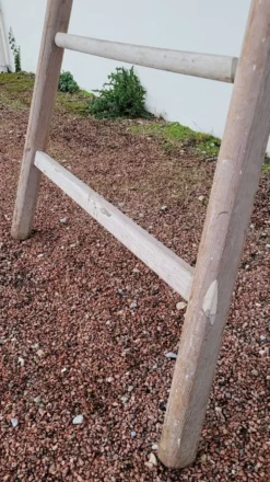 Échelle de maraîcher récolte fruitière en bois ancien -3m65