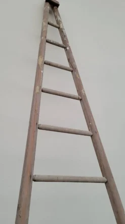 Échelle de maraîcher récolte fruitière en bois ancien -3m65