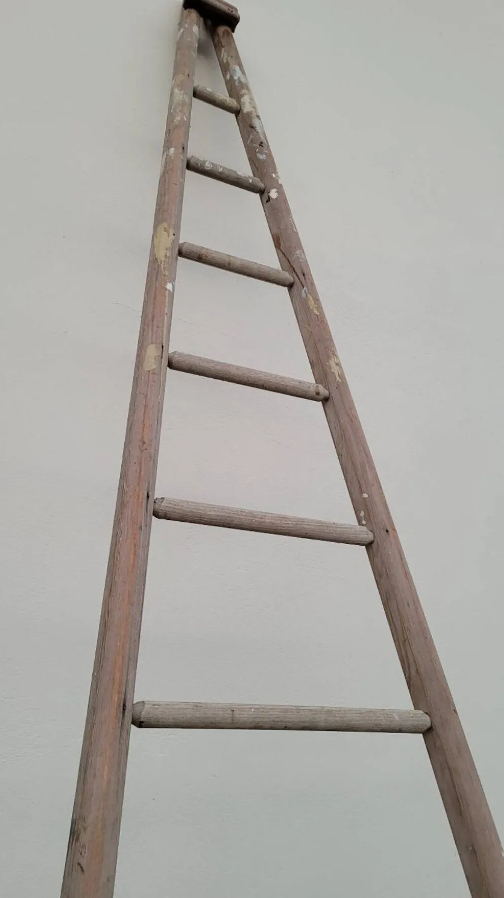 Échelle de maraîcher récolte fruitière en bois ancien -3m65