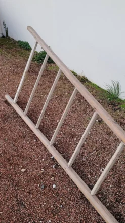 Échelle de maraîcher récolte fruitière en bois ancien -3m65
