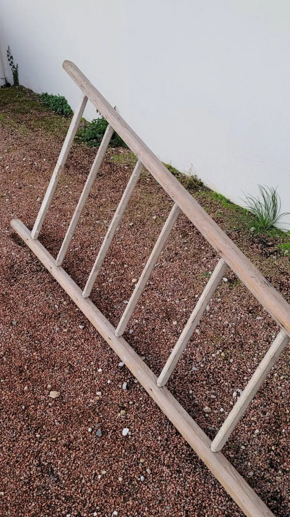 Échelle de maraîcher récolte fruitière en bois ancien -3m65