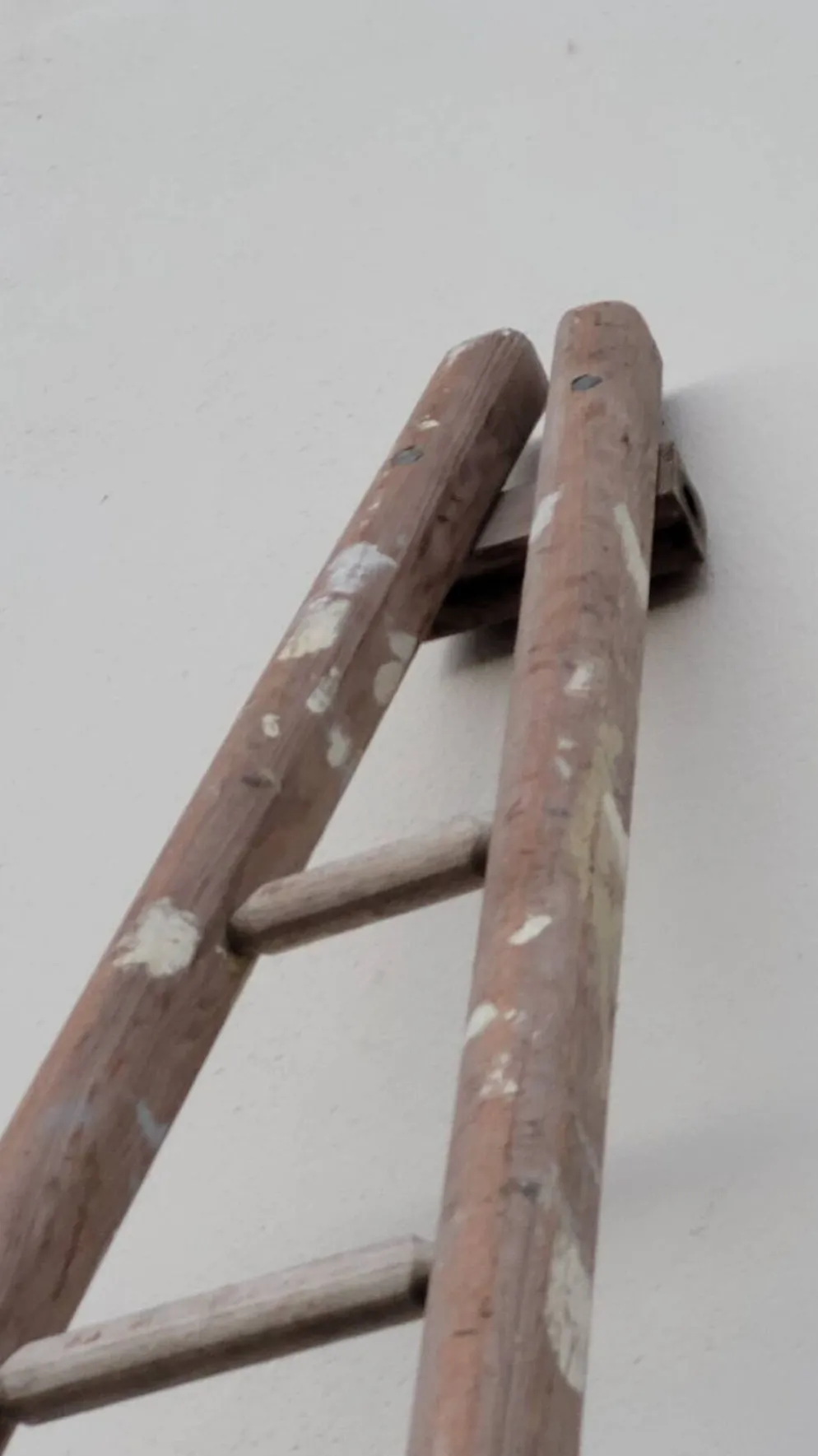 Échelle de maraîcher récolte fruitière en bois ancien -3m65