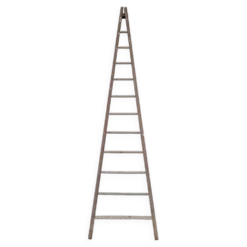 Échelle de maraîcher récolte fruitière en bois ancien -3m65