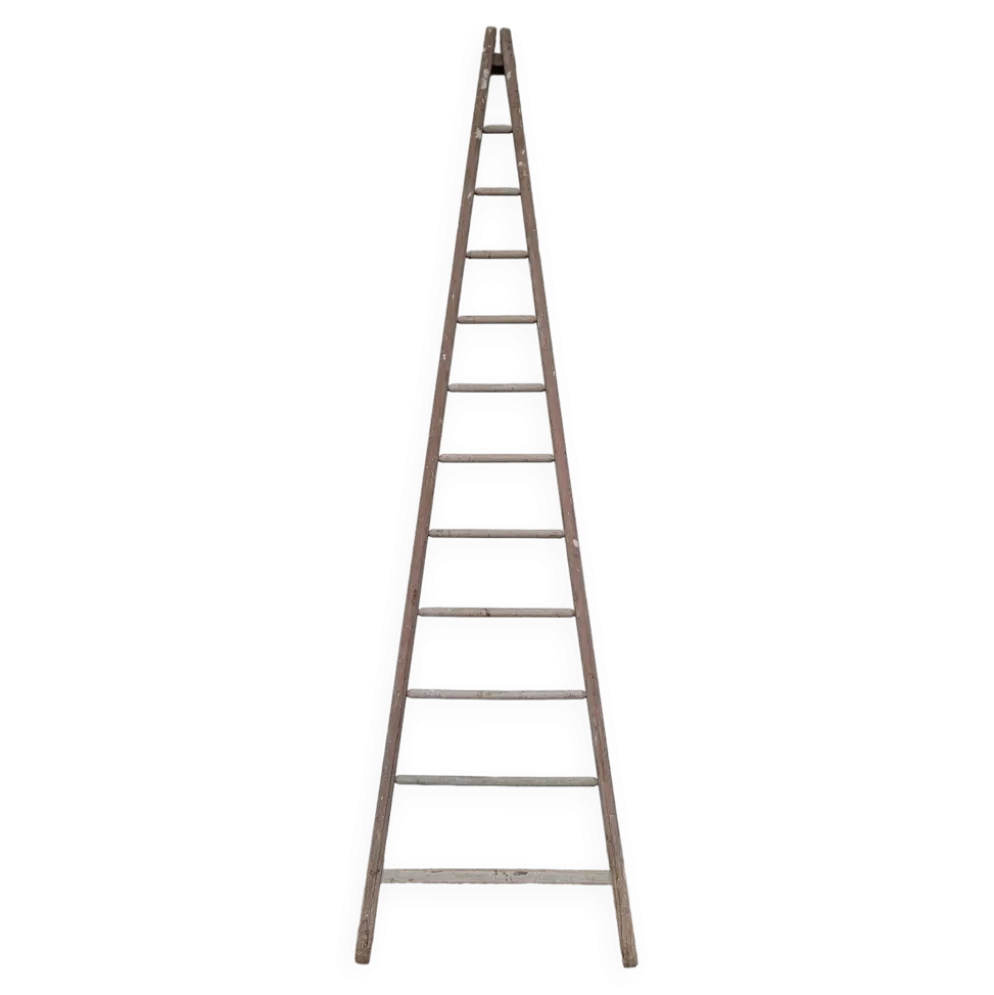Échelle de maraîcher récolte fruitière en bois ancien -3m65