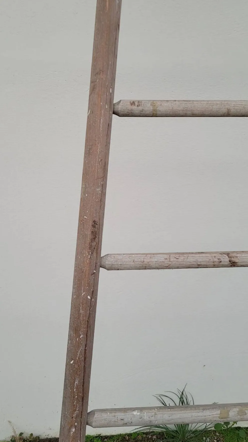 Échelle de maraîcher récolte fruitière en bois ancien -3m65