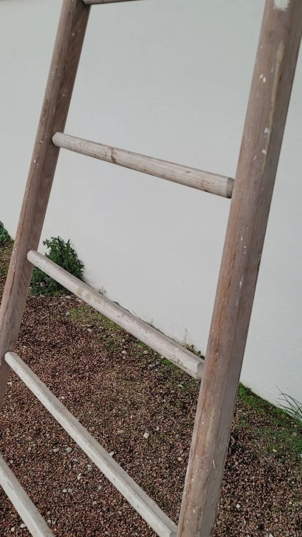 Échelle de maraîcher récolte fruitière en bois ancien -3m65