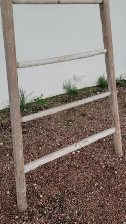 Échelle de maraîcher récolte fruitière en bois ancien -3m65