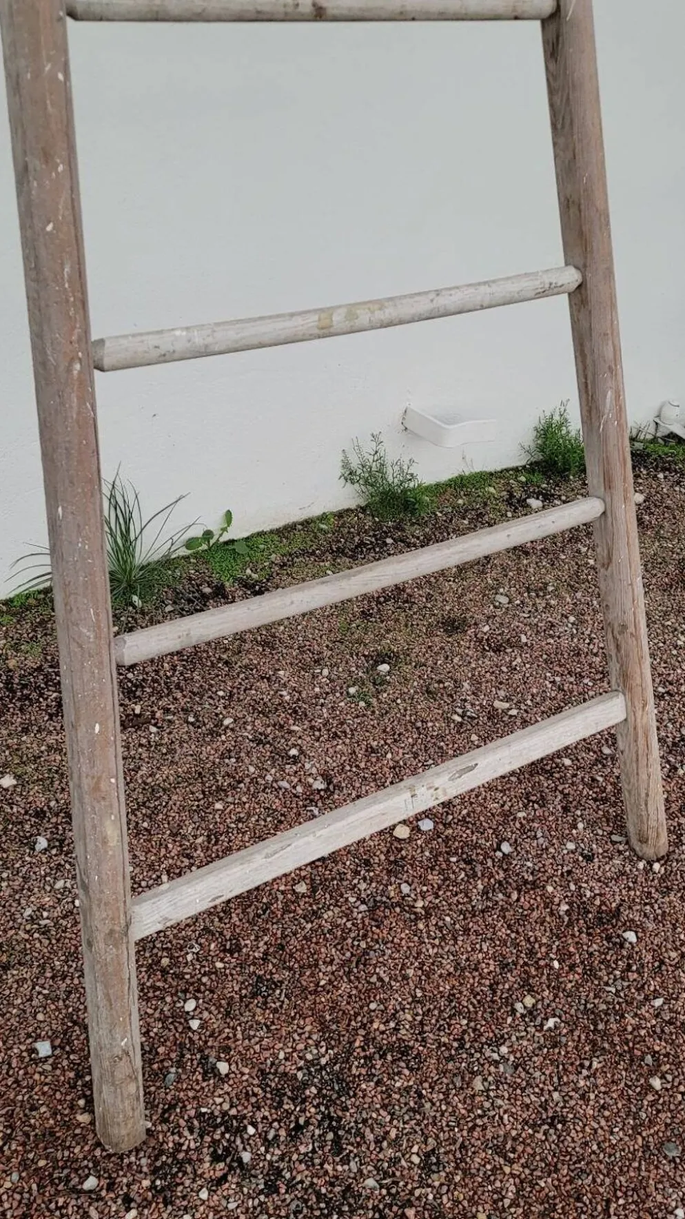 Échelle de maraîcher récolte fruitière en bois ancien -3m65