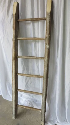 échelle rustique décorative