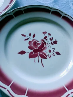 Cinq assiettes porcelaine opaque Badonviller numérotées