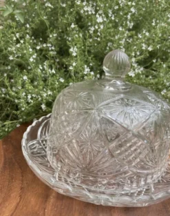 Cloche à fromage en verre pressé et moulé