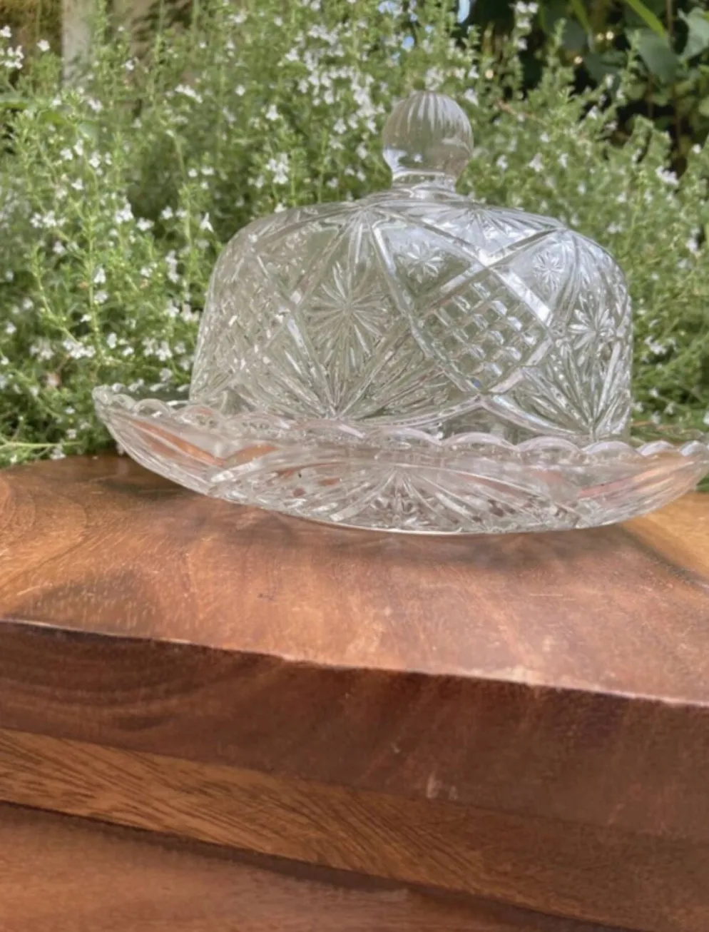 Cloche à fromage en verre pressé et moulé