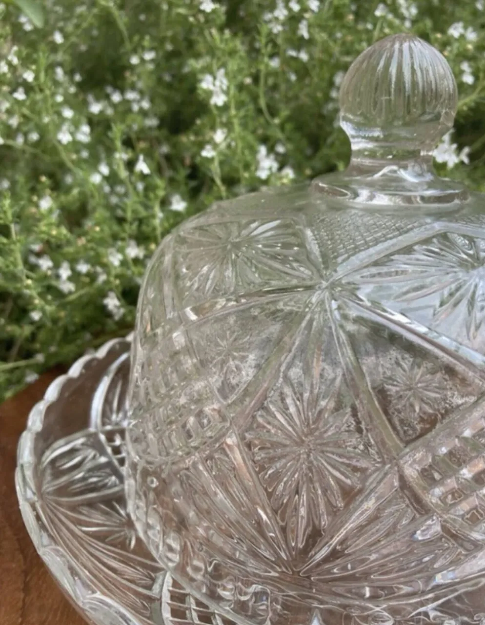 Cloche à fromage en verre pressé et moulé