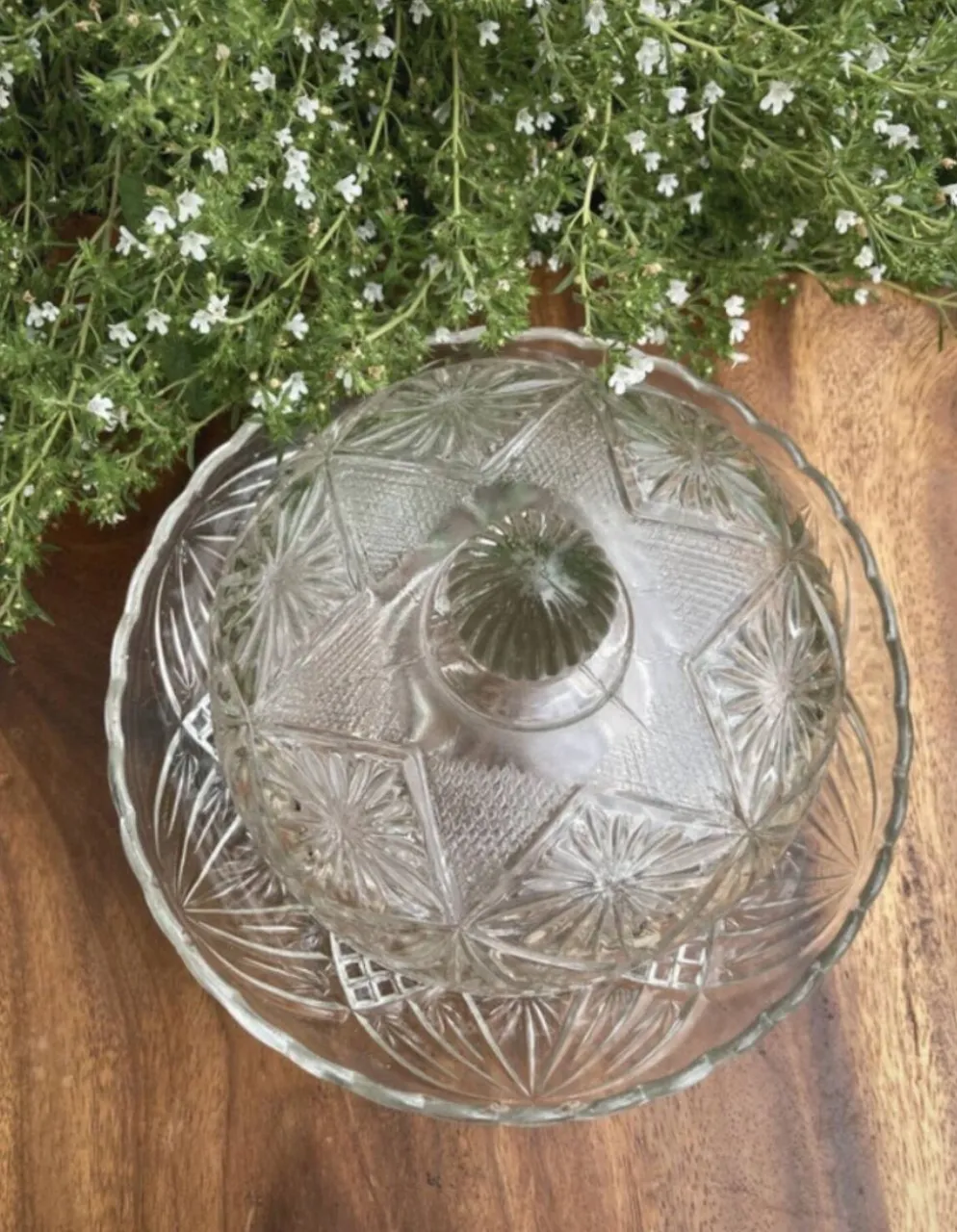 Cloche à fromage en verre pressé et moulé