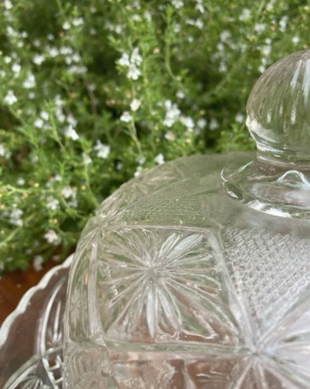 Cloche à fromage en verre pressé et moulé