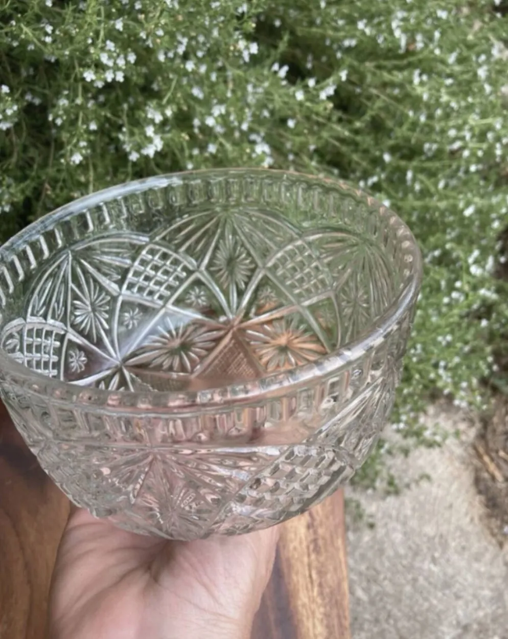 Cloche à fromage en verre pressé et moulé