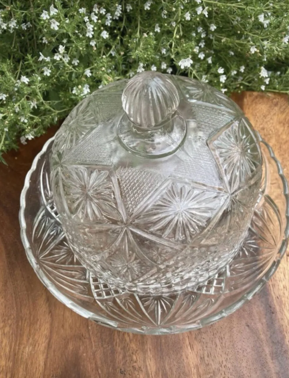 Cloche à fromage en verre pressé et moulé