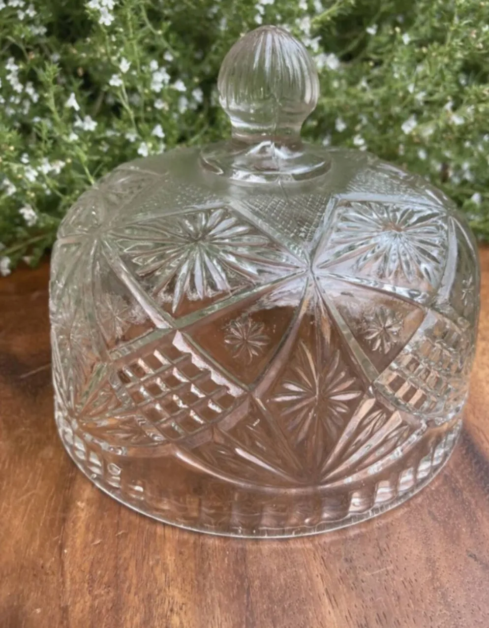 Cloche à fromage en verre pressé et moulé