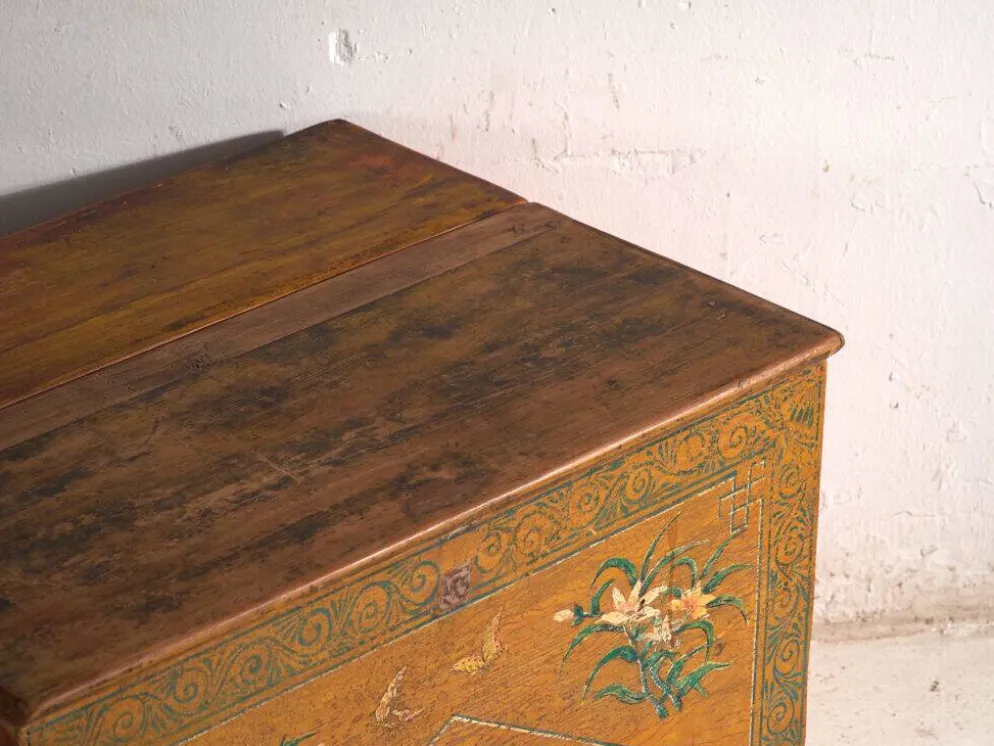 Coffre ancien chinois peint en bois d’orme – Chine, vers 1900