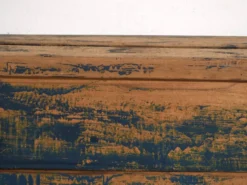 Coffre ancien peint en bleu en bois de pin – Europe centrale, vers 1870