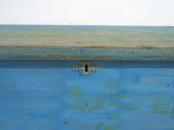 Coffre ancien peint en bleu en pin – Europe centrale, vers 1900