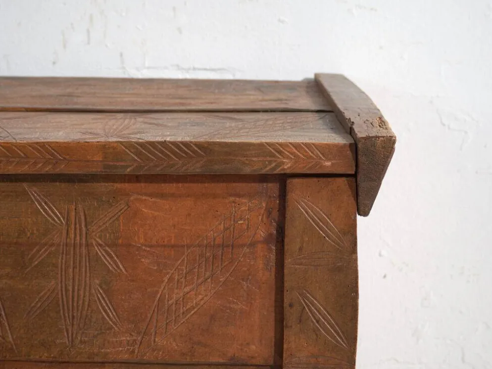 Coffre ancien sculpté en bois de pin – Transylvanie, vers 1900