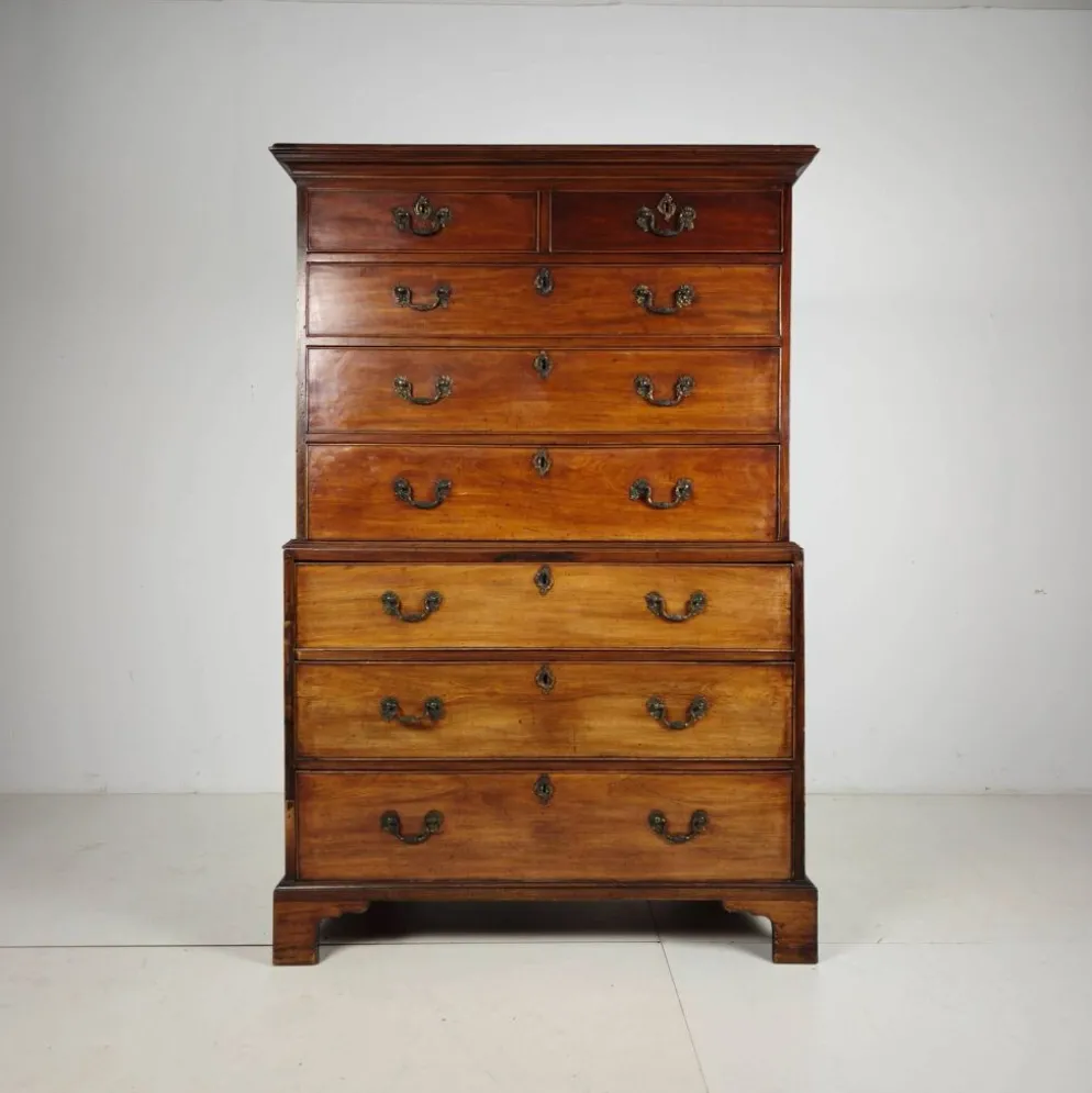 Coffre en acajou anglais géorgien sur coffre, vers 1820
