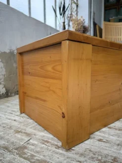 Coffre ou table basse perriand Les Arcs 1800