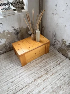 Coffre ou table basse perriand Les Arcs 1800