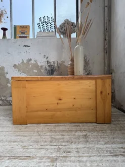 Coffre ou table basse perriand Les Arcs 1800