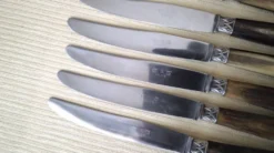 Coffret de 6 couteaux à fromage anciens Inox et corne Bovine GAG