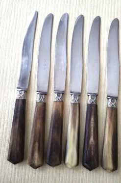 Coffret de 6 couteaux à fromage anciens Inox et corne Bovine GAG