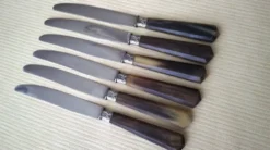 Coffret de 6 couteaux à fromage anciens Inox et corne Bovine GAG