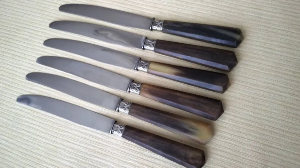 Coffret de 6 couteaux à fromage anciens Inox et corne Bovine GAG