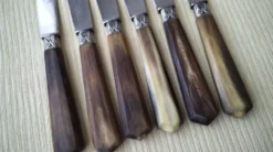 Coffret de 6 couteaux à fromage anciens Inox et corne Bovine GAG